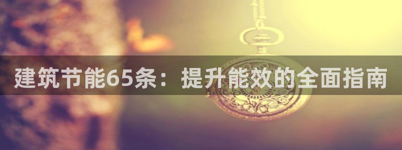 谁知道e尊国际的网址：建筑节能65条：提升能效的全面指南
