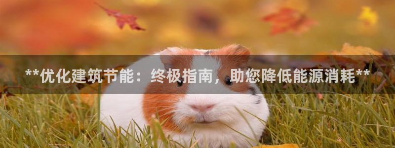 e尊国际官网：**优化建筑节能：终极指南，助您降低能源消耗**