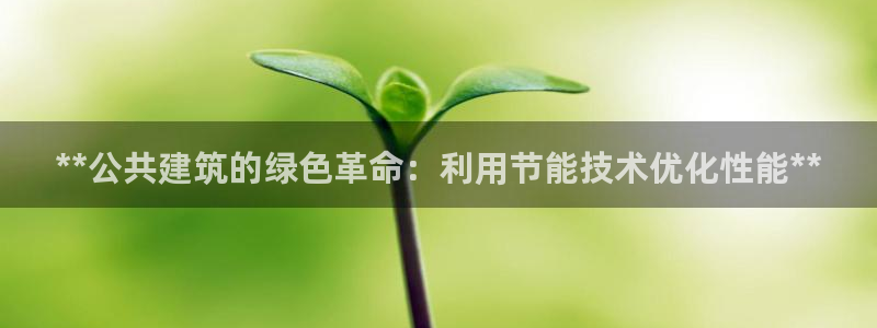 e尊国际-e尊国际官网：**公共建筑的绿色革命：利用节能技术优化性能**