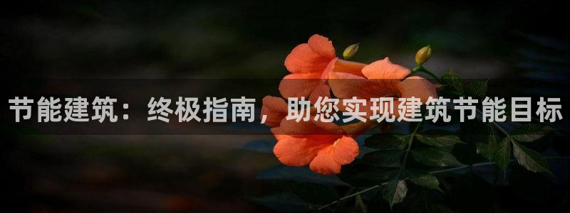 e尊国际平台：节能建筑：终极指南，助您实现建筑节能目标