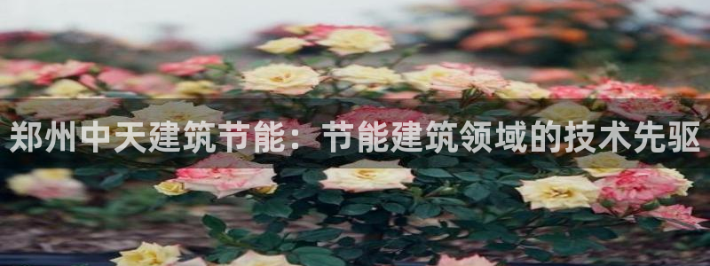 e尊国际地址：郑州中天建筑节能：节能建筑领域的技术先驱