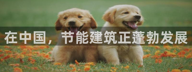 e尊国际娱乐官网下载：在中国，节能建筑正蓬勃发展