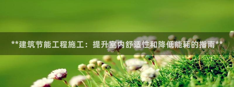 E尊国际网站：**建筑节能工程施工：提升室内舒适性和降低能耗的指南**