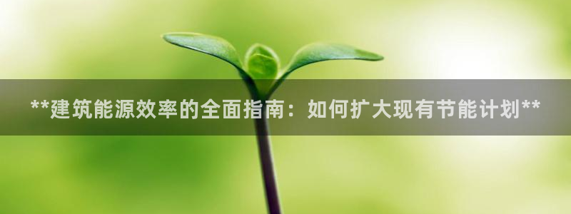 e尊国际平台：**建筑能源效率的全面指南：如何扩大现有节能计划**