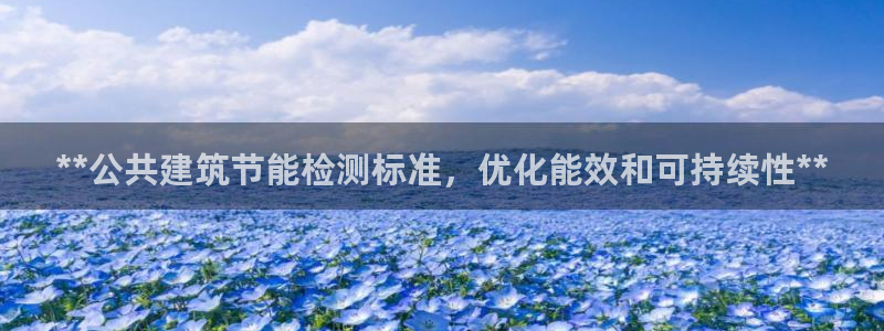 e尊国际-可可计划：**公共建筑节能检测标准，优化能效和可持续性**