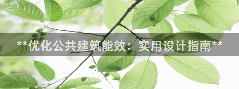 e尊官网：**优化公共建筑能效：实用设计指南**