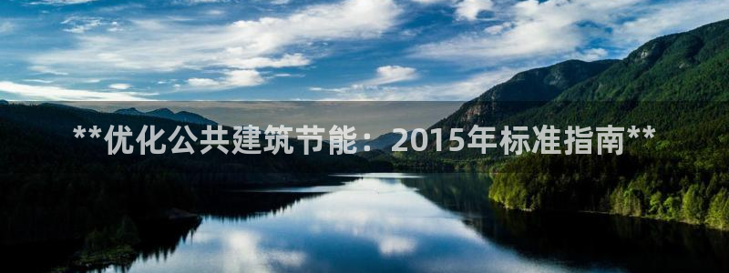 e尊国际平台：**优化公共建筑节能：2015年标准指南**