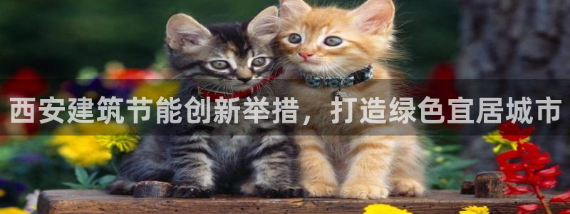 e尊国际是个黑网：西安建筑节能创新举措，打造绿色宜居城市