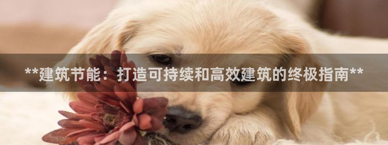 e尊国际7779：**建筑节能：打造可持续和高效建筑的终极指南**