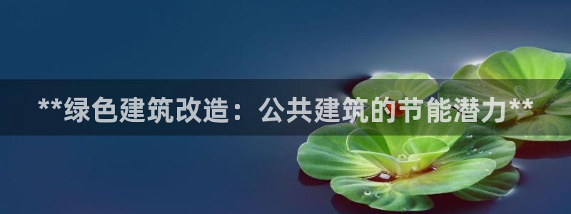 E尊国际网站：**绿色建筑改造：公共建筑的节能潜力**