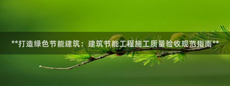 e尊国际客服：**打造绿色节能建筑：建筑节能工程施工质量验收规范指南**
