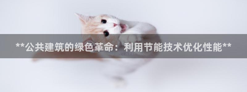 e尊国际的手机登录网站：**公共建筑的绿色革命：利用节能技术优化性能**