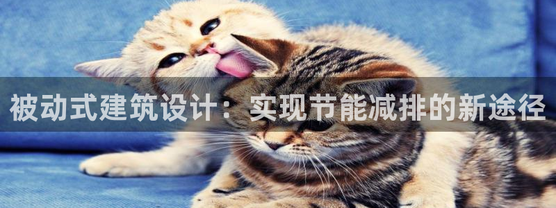 e尊国际可靠吗：被动式建筑设计：实现节能减排的新途径