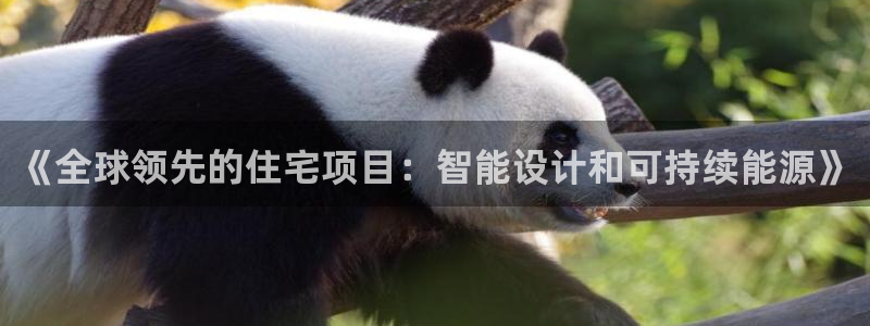 E尊国际：《全球领先的住宅项目：智能设计和可持续能源》