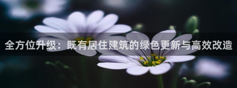 e尊国际官网：全方位升级：既有居住建筑的绿色更新与高效改造