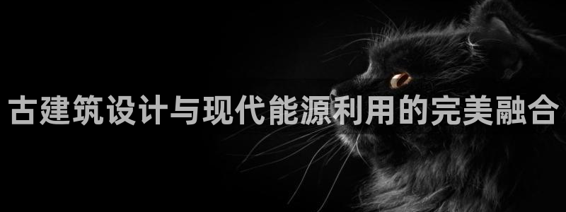 e尊官网：古建筑设计与现代能源利用的完美融合