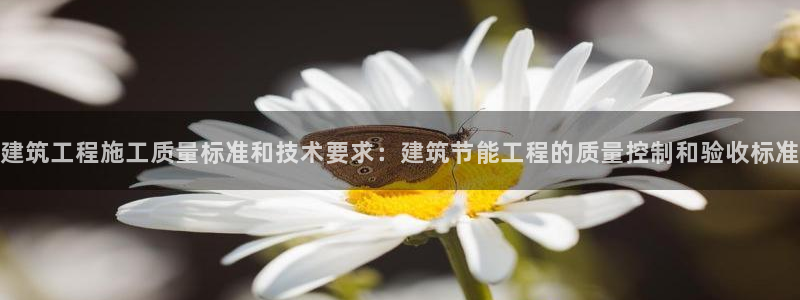 e尊国际的手机登录网站：建筑工程施工质量标准和技术要求：建筑节能工程的质量控制和验收标准