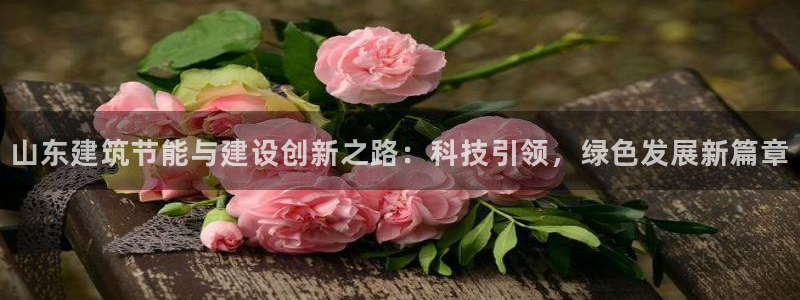 e尊国际官网