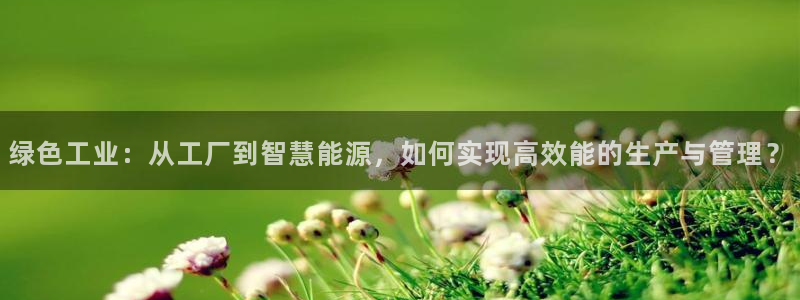 e尊国际官方网站：绿色工业：从工厂到智慧能源，如何实现高效能的生产与管理？