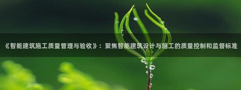 e尊国际客服：《智能建筑施工质量管理与验收》：聚焦智能建筑设计与施工的质量控制和监督标准