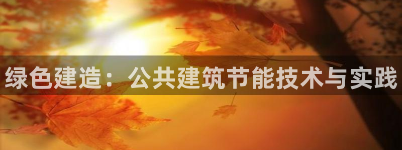 e尊国际官方网站：绿色建造：公共建筑节能技术与实践