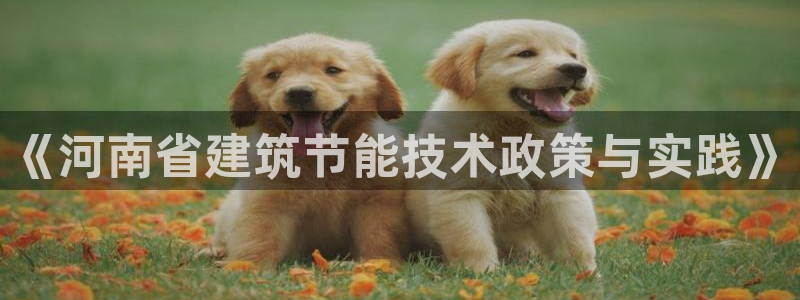 e尊国际的手机登录网站：《河南省建筑节能技术政策与实践》