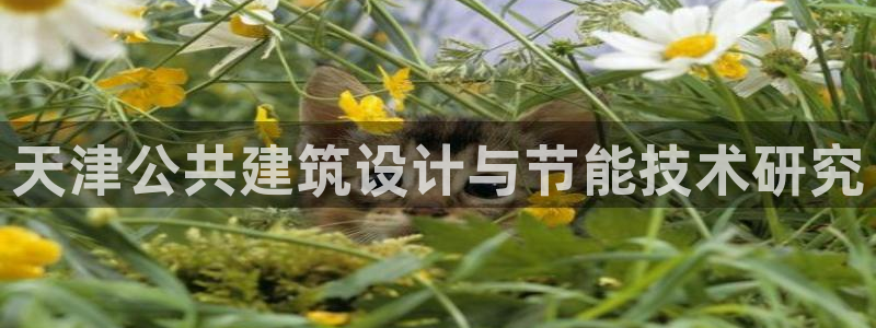 e尊国际-e尊国际官网