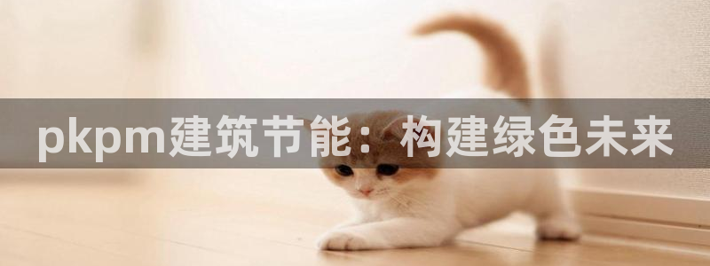 E尊国际