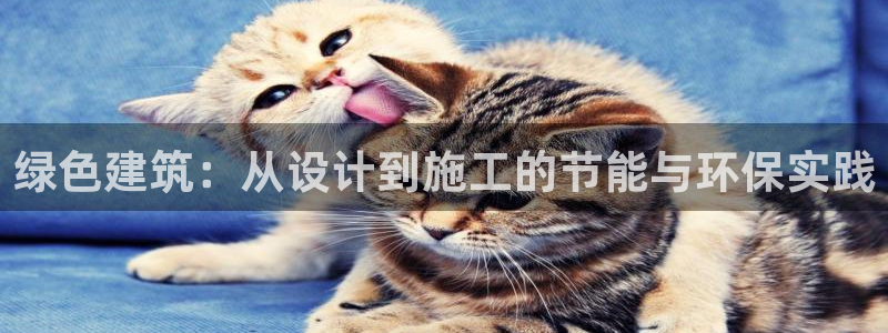 尊亿游戏国际官网：绿色建筑：从设计到施工的节能与环保实践