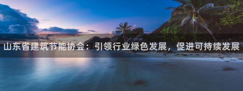 e尊国际官网：山东省建筑节能协会：引领行业绿色发展，促进可持续发展
