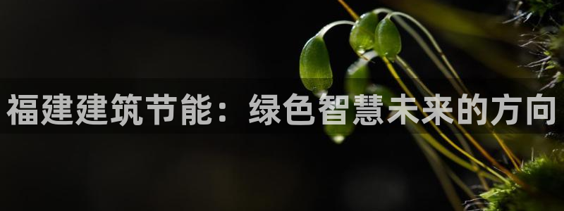 E尊国际网站：福建建筑节能：绿色智慧未来的方向