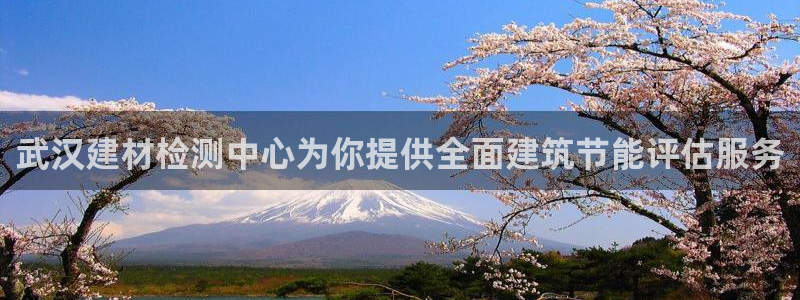 e尊国际地址