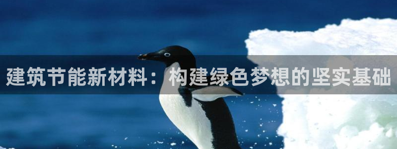 E尊国际