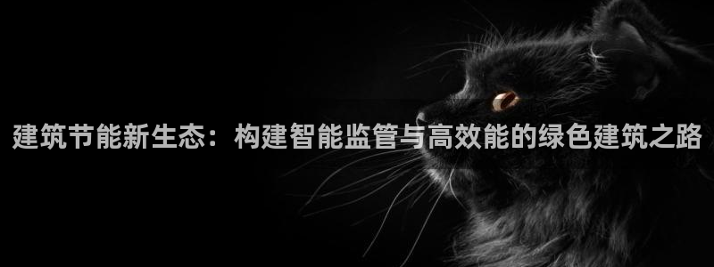 e尊国际平台