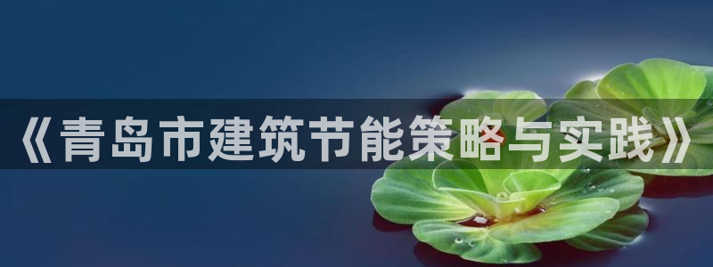 e尊国际是干什么的：《青岛市建筑节能策略与实践》