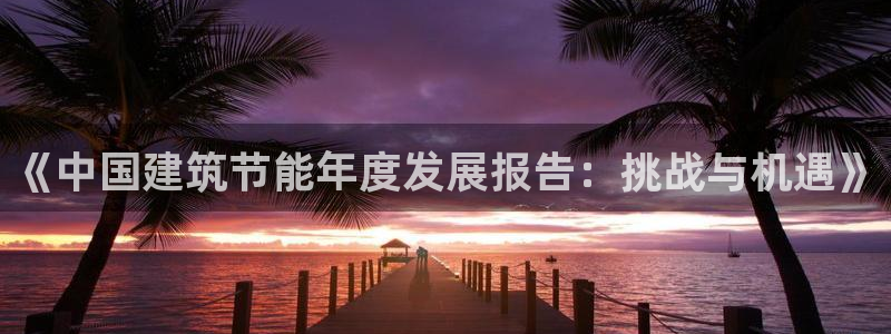 尊亿娱乐国际官网：《中国建筑节能年度发展报告：挑战与机遇》