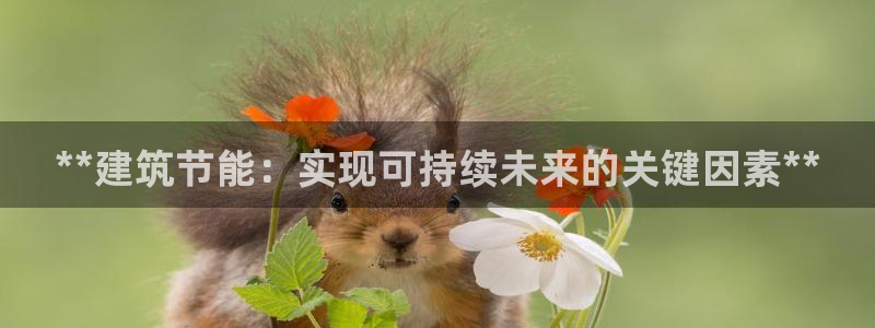 e尊国际官网app：**建筑节能：实现可持续未来的关键因素**