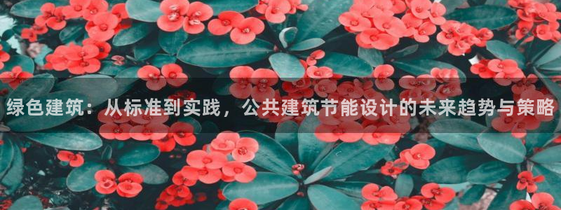 e尊国际客户端下载：绿色建筑：从标准到实践，公共建筑节能设计的未来趋势与策略