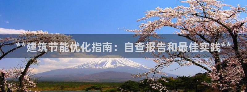 e尊平台：**建筑节能优化指南：自查报告和最佳实践**