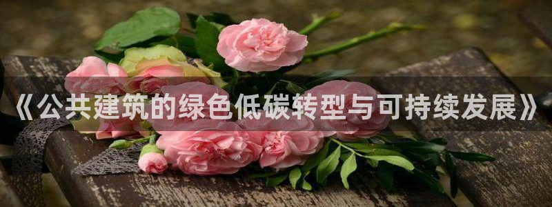 e尊国际娱乐官网地址：《公共建筑的绿色低碳转型与可持续发展》