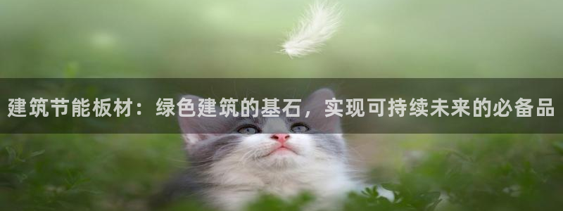 e尊国际客户端下载：建筑节能板材：绿色建筑的基石，实现可持续未来的必备品