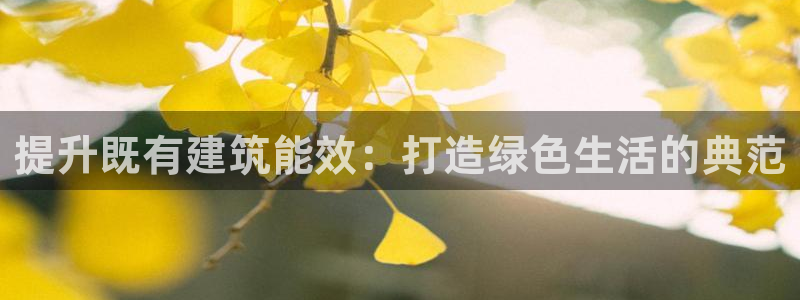 e尊国际app：提升既有建筑能效：打造绿色生活的典范