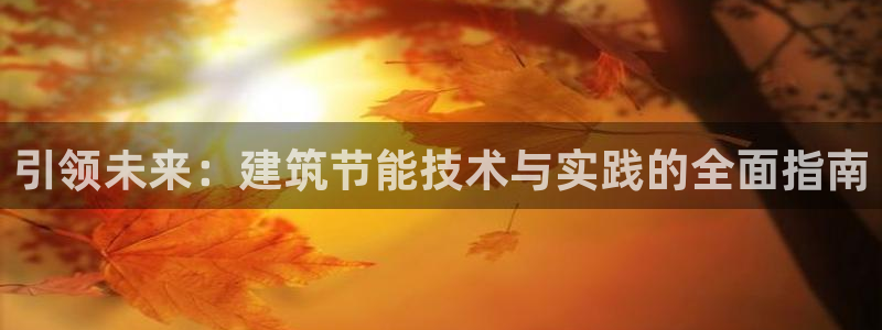 e尊国际官网·网址：引领未来：建筑节能技术与实践的全面指南