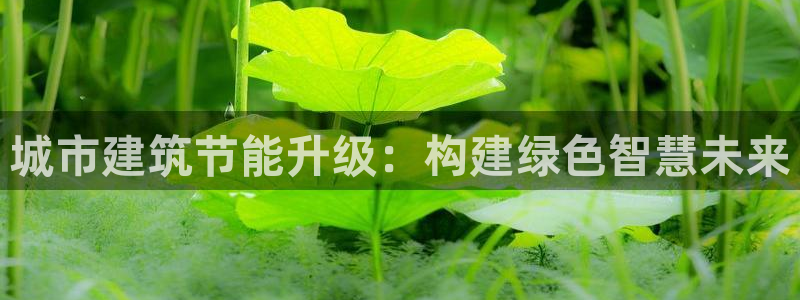 e尊国际客户端：城市建筑节能升级：构建绿色智慧未来