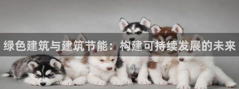 e尊国际官网app：绿色建筑与建筑节能：构建可持续发展的未来