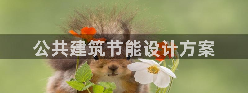 e尊国际官网：公共建筑节能设计方案