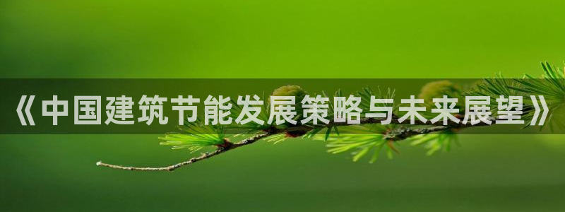 e尊国际官网：《中国建筑节能发展策略与未来展望》