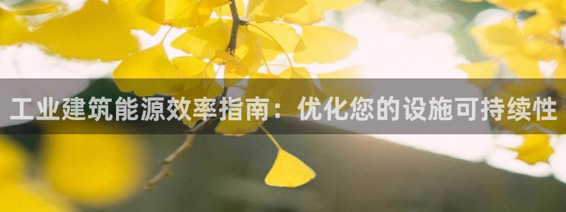 尊亿游戏国际官网：工业建筑能源效率指南：优化您的设施可持续性