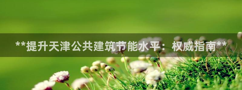 e尊国际官方网站：**提升天津公共建筑节能水平：权威指南**