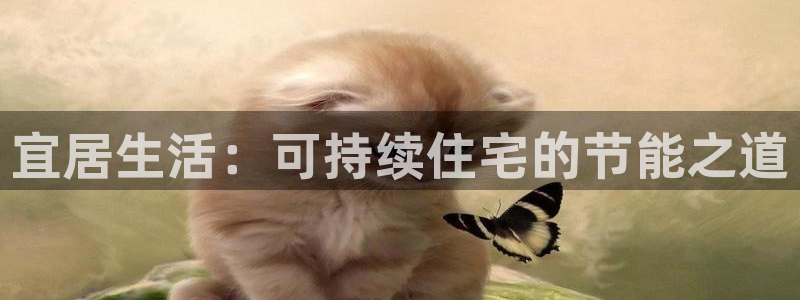 e尊国际客户端下载：宜居生活：可持续住宅的节能之道